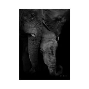 Elephant triangle af Beth Bülow