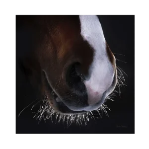 Horse Hair af Beth Bülow